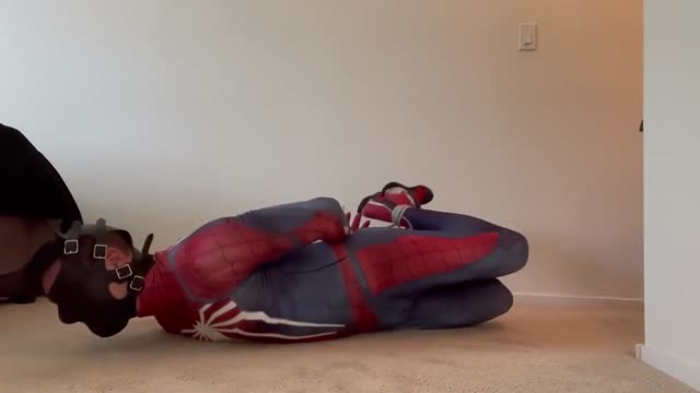 Spidey 