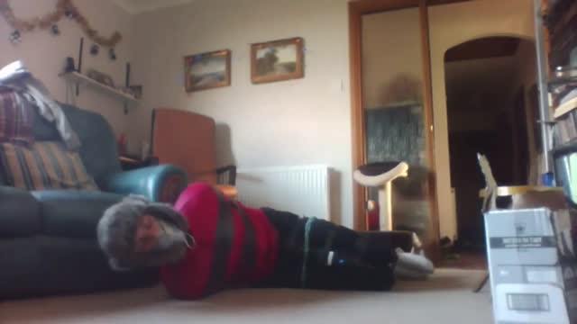 Bound in Down