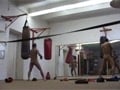 boxers