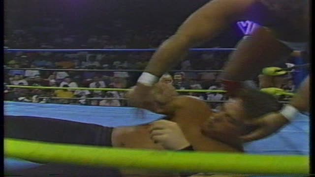 Bagwell Gutpunched