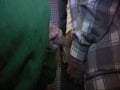 suck young cock