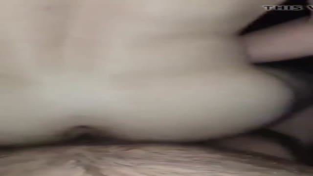 Bear x slamming my hairy hole