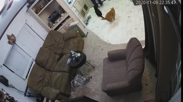 Gamer caught on IP cam