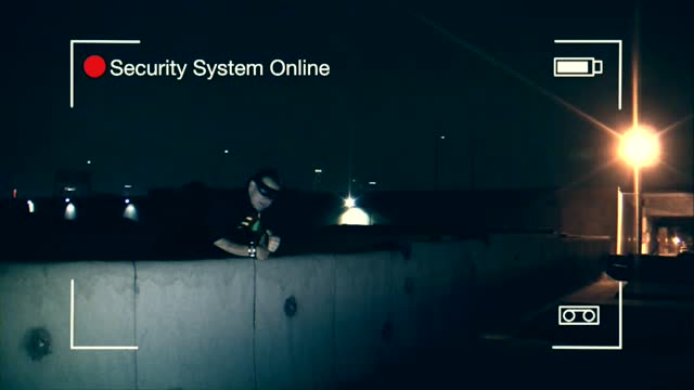 Video preview