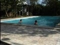 Brazilian Moves
