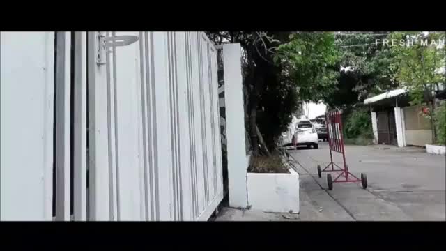  asian thief