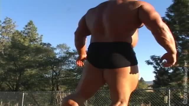 muscle