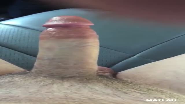 car blowjob