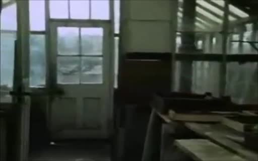 Sex and Violence in Film 18