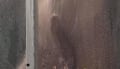 Fucking in the shower
