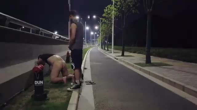 Evening Pup Walk